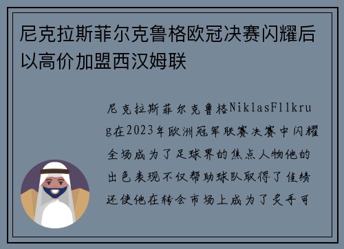 尼克拉斯菲尔克鲁格欧冠决赛闪耀后以高价加盟西汉姆联 尼克拉斯菲尔克鲁格欧冠决赛闪耀后以高价加盟西汉姆联