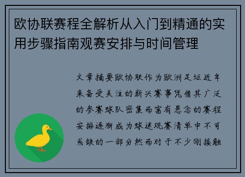 欧协联赛程全解析从入门到精通的实用步骤指南观赛安排与时间管理 欧协联赛程全解析从入门到精通的实用步骤指南观赛安排与时间管理